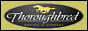 Thoroughbred Moving Company